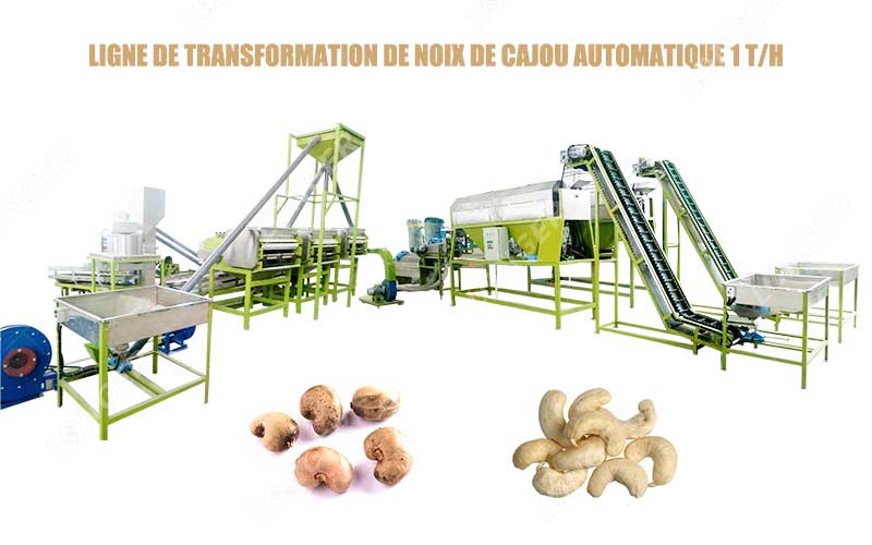 Ligne De Transformation De Noix De Cajou Automatique.jpg