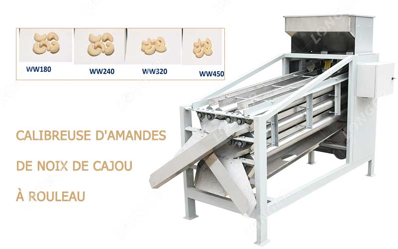 Calibreuse D'amandes De Noix De Cajou À Rouleau.jpg