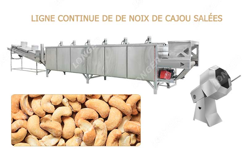 Introduction De La Ligne De Production De Torréfacteur De Noix De Cajou Salées.jpg